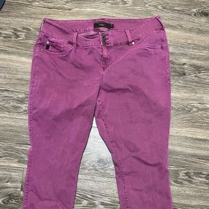 Torrid pants size 22